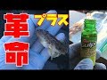 ハゼ釣りにおいて効果的な釣法を探るも寄ってきたのは...
