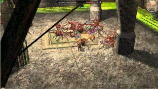 Hacker pe metin2ro in v1