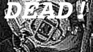 Celebrity DIVER DAN IS DEAD! (with Vin Scully) Net Worth