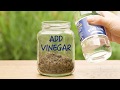 Garden hack find out if your soil is acidic or alkaline