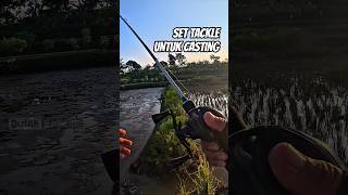 Set tackle untuk mancing casting ikam gabus