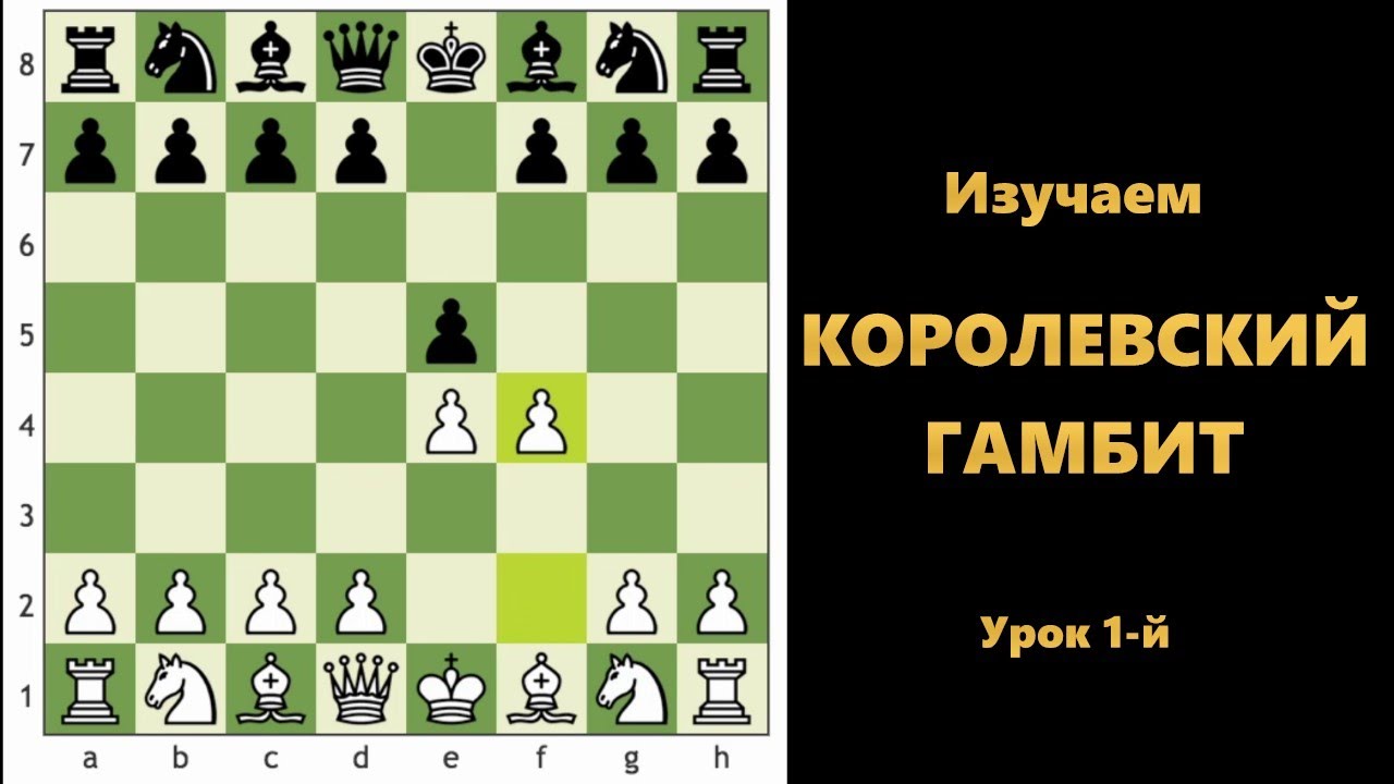 Королевский гамбит! Урок 1-й. #шахматы #chess #костенюк #kingsgambit #дебют #гамбит #gambit