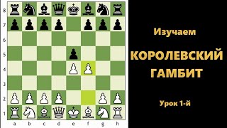 картинка: Королевский гамбит! Урок 1-й. #шахматы #chess #костенюк #kingsgambit #дебют #гамбит #gambit