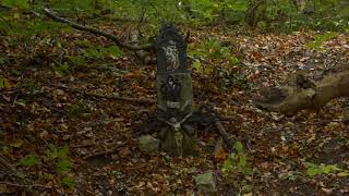 Brunnen Crucifix im Wald