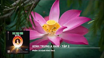 Tập 2 – Phẩm 10 K.Khố Ấm2 