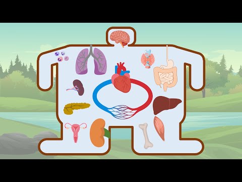 Getting Started with Human Physiology || Functional Organization of Human Body || Human Biology