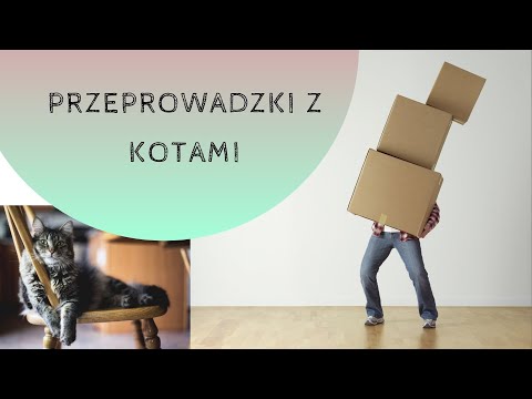 Wideo: Jak Przygotować Kota Do Przeprowadzki