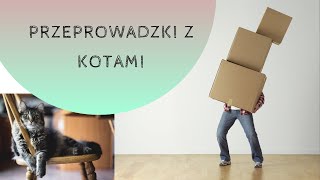 PRZEPROWADZKA Z KOTAMI  jak to ogarnąć?