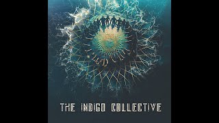 The Indigo Collective PORTAL - The most accurate #personalitytest with JOHN UKE.