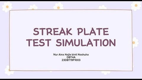 Streak Plate Test Simulation