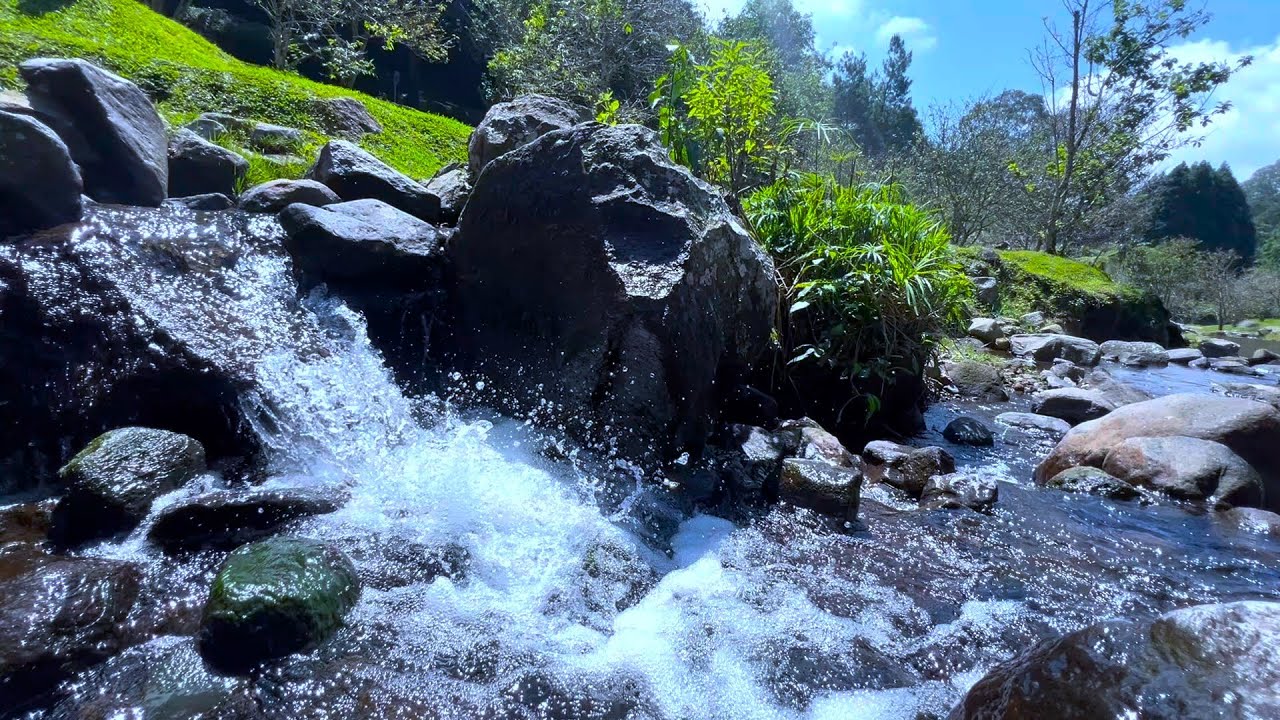 Dimpling Stream Waterfall Gentle Stream Sound in forest 24/7. Waterfall Sounds, Flowing ...