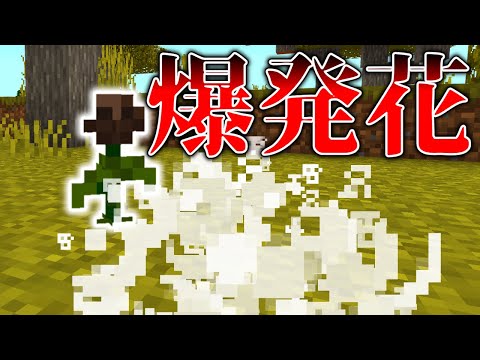 【スイッチ対応】新execute対応！！コマンド1つで爆発花！【マイクラコマンド】