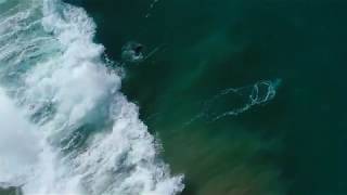 Hurley: Clark Little and Punker Pat - Mini-Kick sesh from the sky Dec 2017