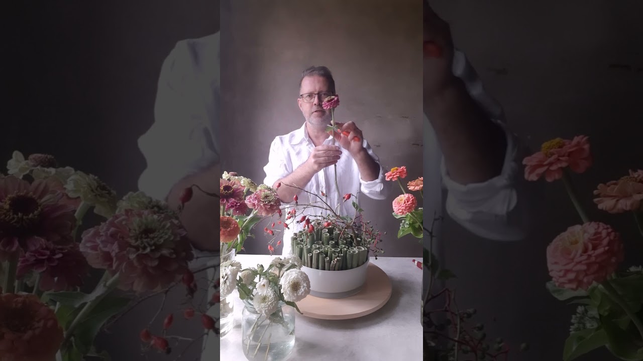 Рассказ о циннии в #азбука_цветов с Павлом Горбенко