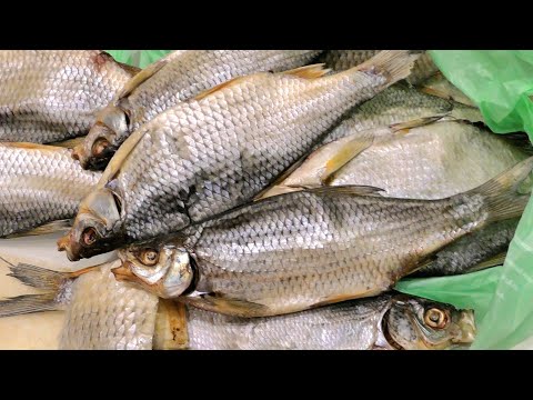 Рыба больше не портится! Мой секретный способ засолки. Густера, Плотва, Таранка, Вобла, Подлещик.