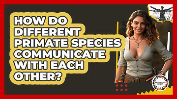 How Do Different Primate Species Communicate With Each Other? - Anthropology Insights