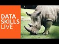 Data Skills Live: Defend The Rhino (Trailer)