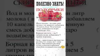 ПОЛЕЗНО ЗНАТЬ о подкормках для перца #shorts #советы  #рецепты