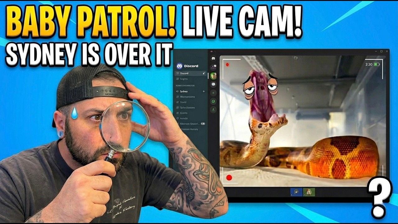 BABY BOAS DUE ANY MOMENT! LIVE Pregnancy Watch | Night Patrol