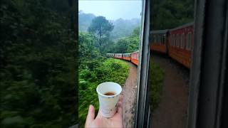 A train ride on a rainy day✨ #train #travel #nature