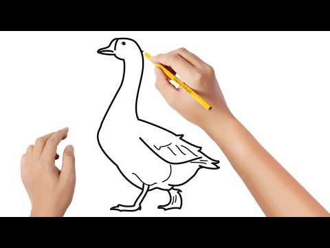 Video: Cómo Dibujar Un Ganso Usando Una Plantilla