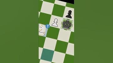 mã đấu tượng cực cháy 🤡! Hot knight vs bishop! 🔥 #chess #covualogic