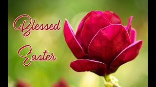 💖 🐇 Blessed Easter 🐇 💖