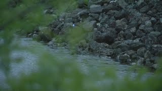 Body found in water near northwest Indianapolis apartment