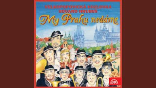 Velmi kladná kapela