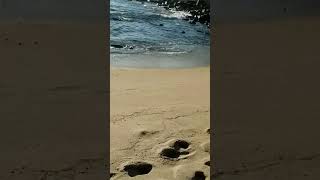 Playa Puertecito, Puerto Escondido Oaxaca. Rolling For Health #PIMED