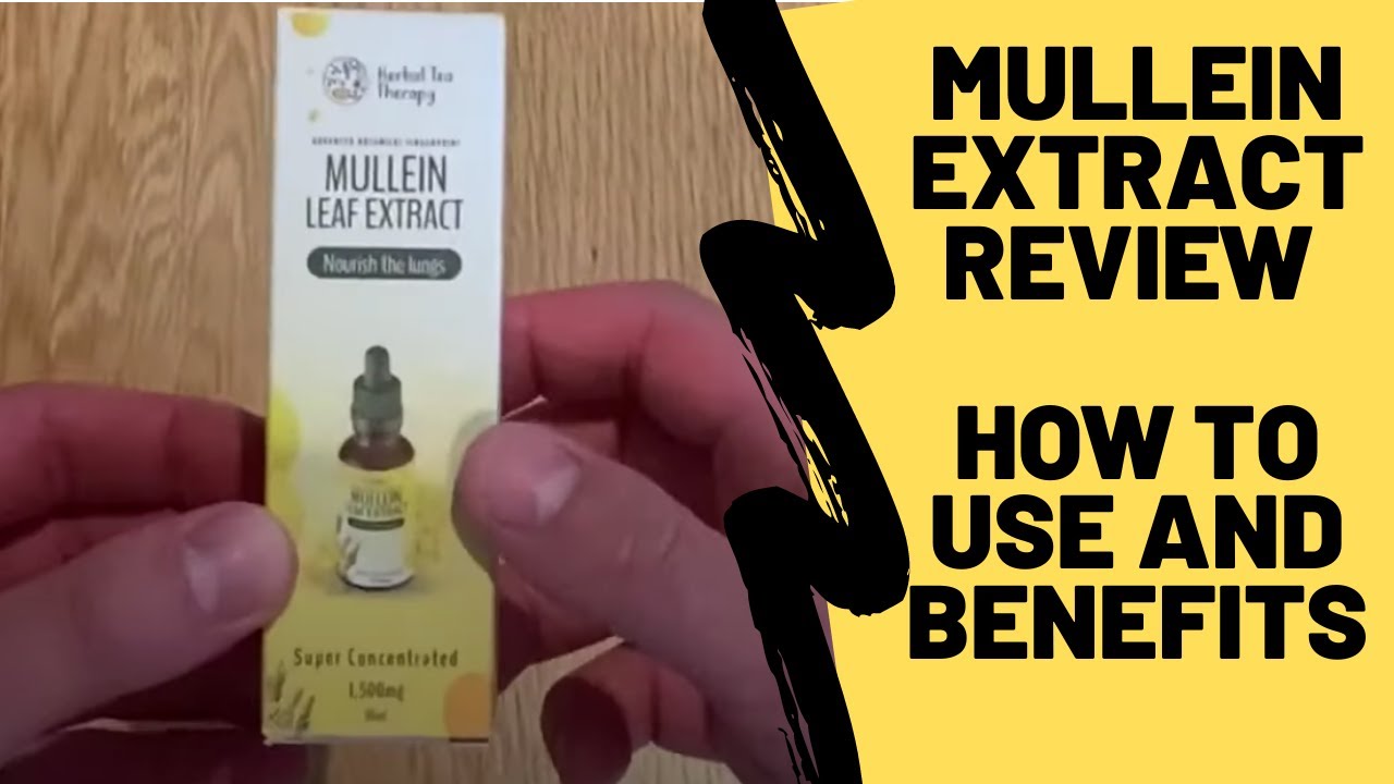 mullein-extract-review-how-to-use-and-benefits-youtube