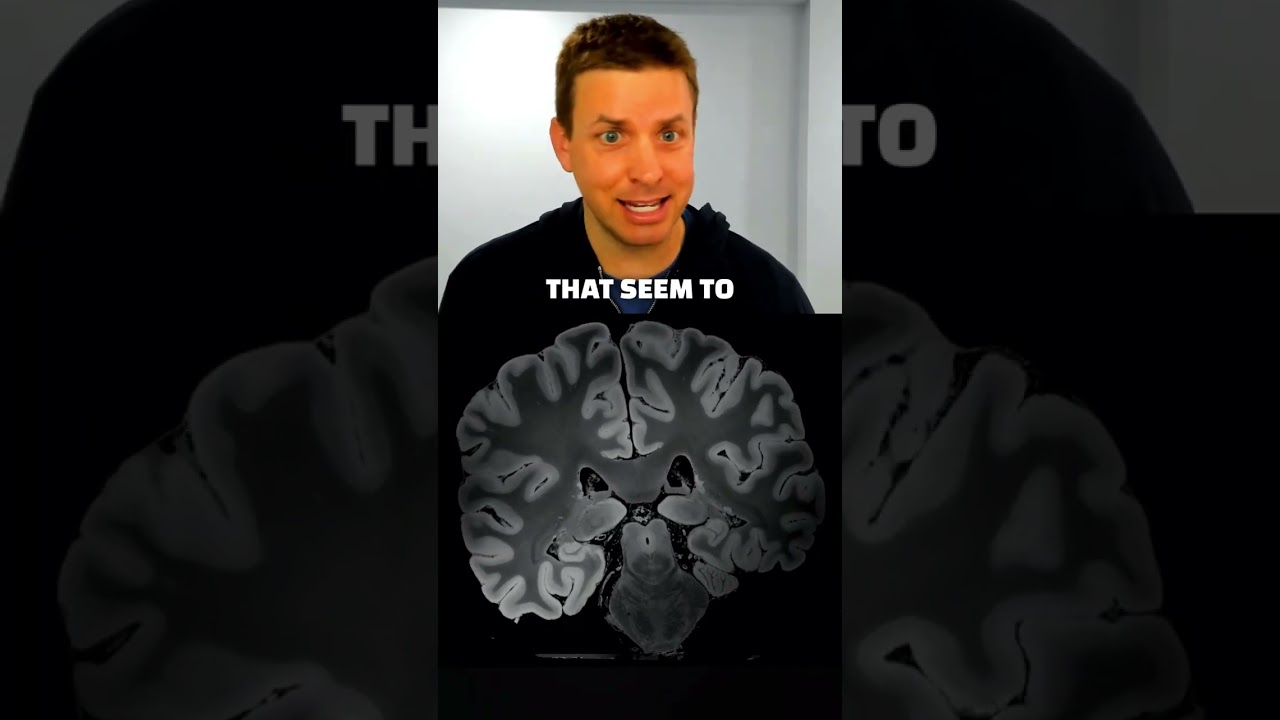 How You’re Aging Your Brain 