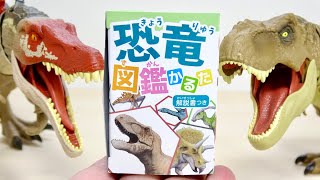 学べて楽しい 恐竜図鑑かるた 47種類の恐竜を覚えよう!