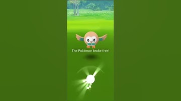 1st ever rowlet (Gen7) in pokemon go.