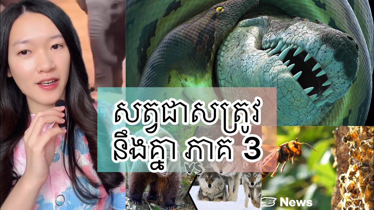 សត្វ ជាសត្រូវ នឹងគ្នា ភាគ 3 - Animal that hate each other part 3