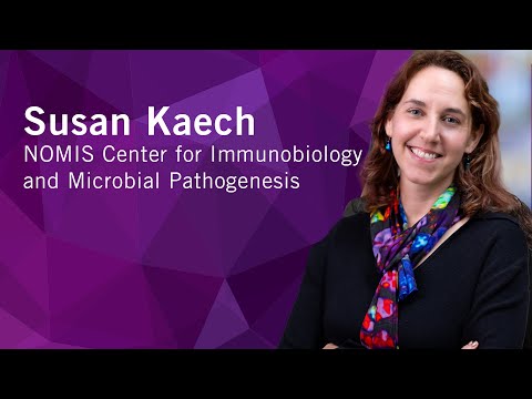 From Then to When | Meet Salk Scientists | Susan Kaech