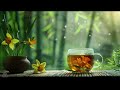 Meditation music  positive thinking  stress relief music  inner peace  healing music