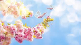 Like a Butterfly - Mandala Dreams - Dreamy, Peaceful (Butterflies)