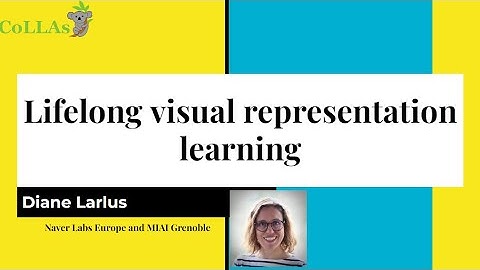 Lifelong visual representation learning - Diane Larlus - CoLLAs 2024