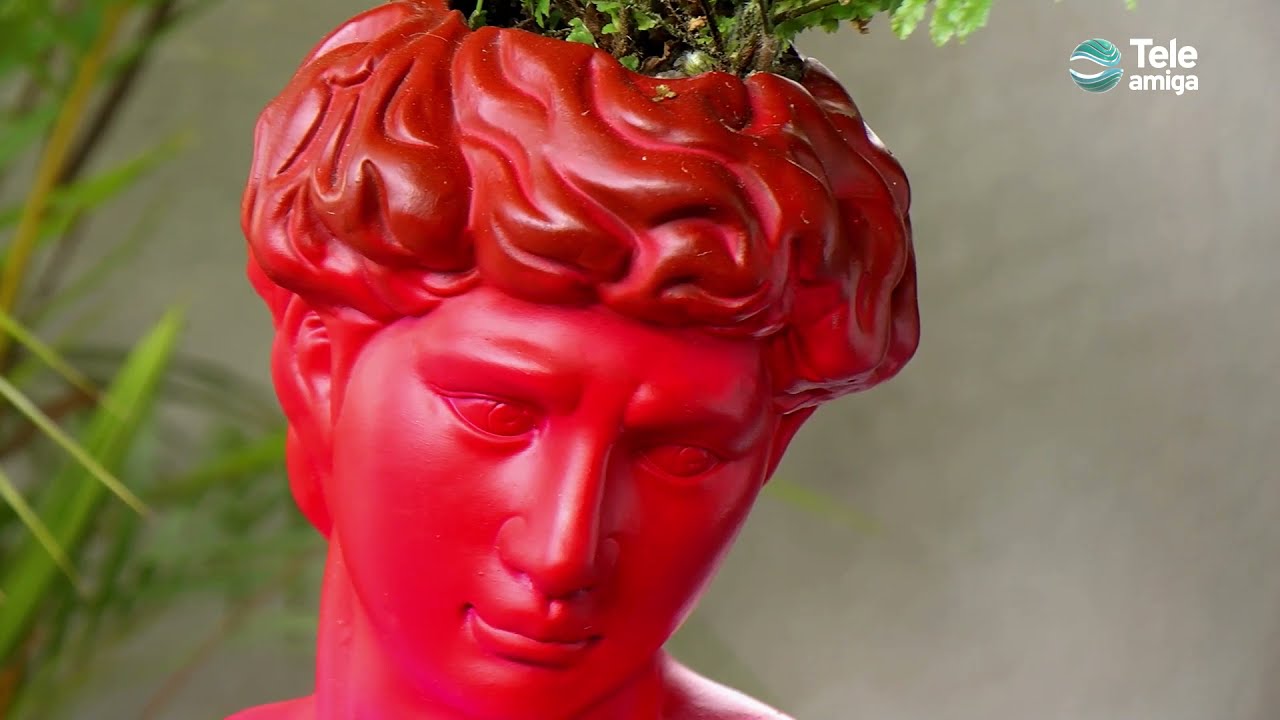 Materas Rostros - Plantas y Jardines