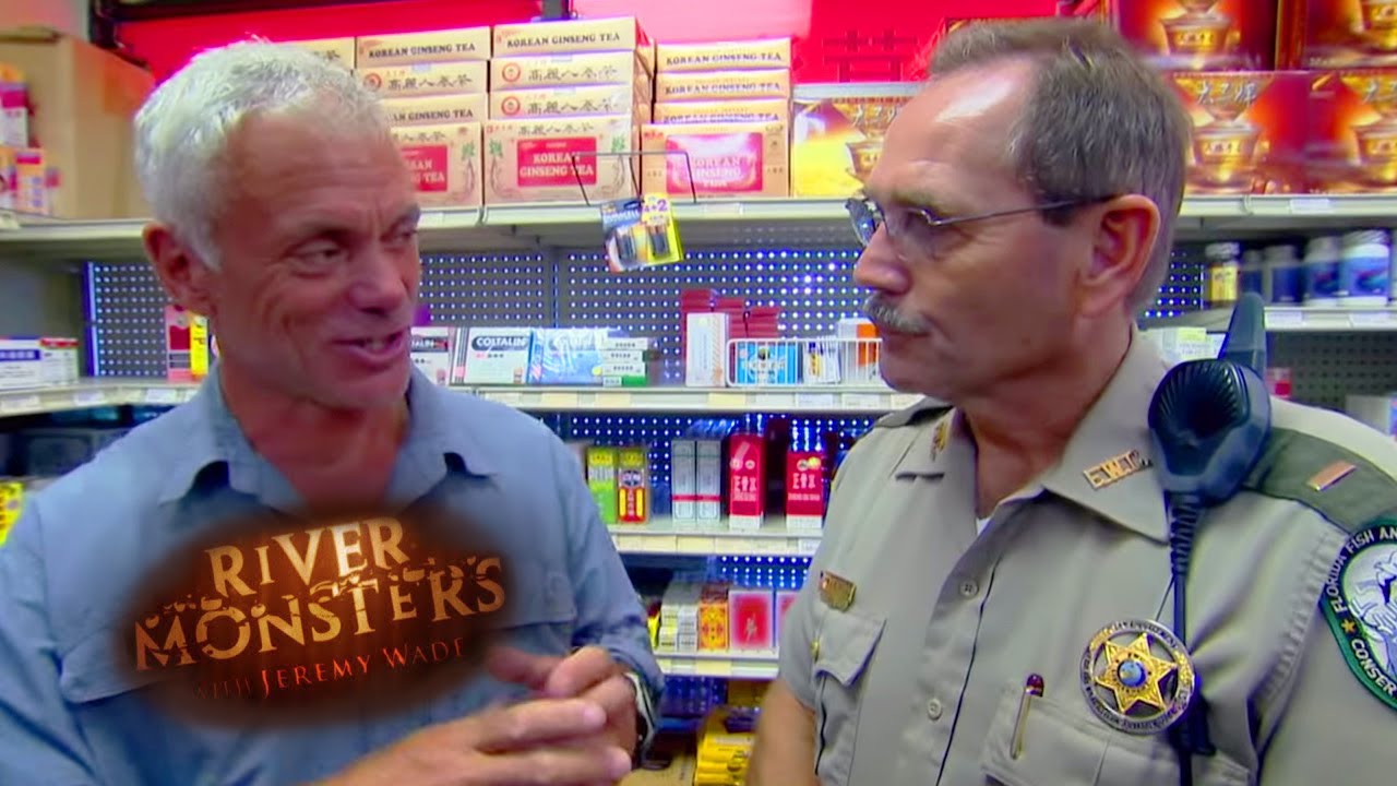 Illegal Trading Of Snakeheads | Snakeheads | River Monsters
