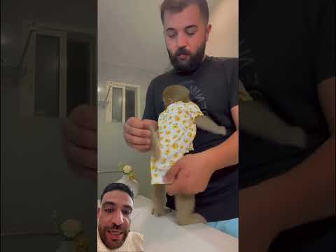 يا عم متعقدناش ياعم 