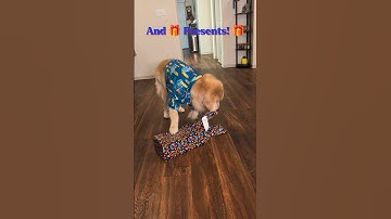 I added the present opening that I forgot. I