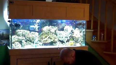 Building a Reef Tank Part 9