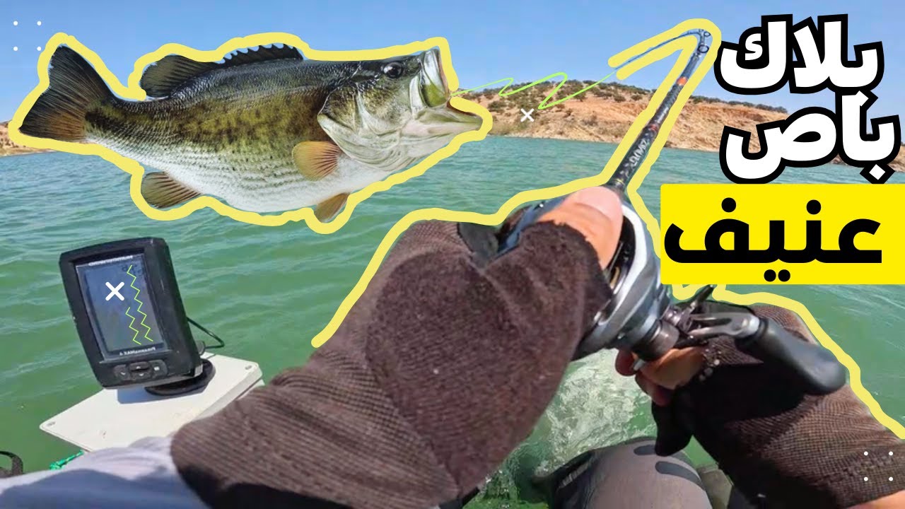 Black bass - 4K - صيد البلاك باص مع أجود الأصدقاء