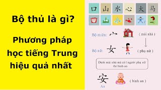 Bộ thủ là gì? Phương pháp học chữ Hán hiệu quả nhất | Tiếng Trung 5s