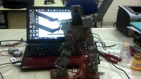 Biped Robot