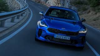 Kia Stinger (CK) 2.5L G4KN Turbo (2019—2025) Engine Reliability Problems