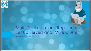 Mule 4 Dockerization,  Register and Set Up Servers and  Mule Cluster