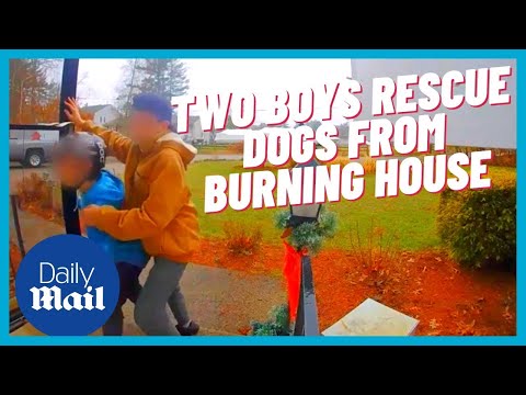Video: Pes zachránil z horenia Domov Zjednotení s hrdinmi, ktorí ho zachránili